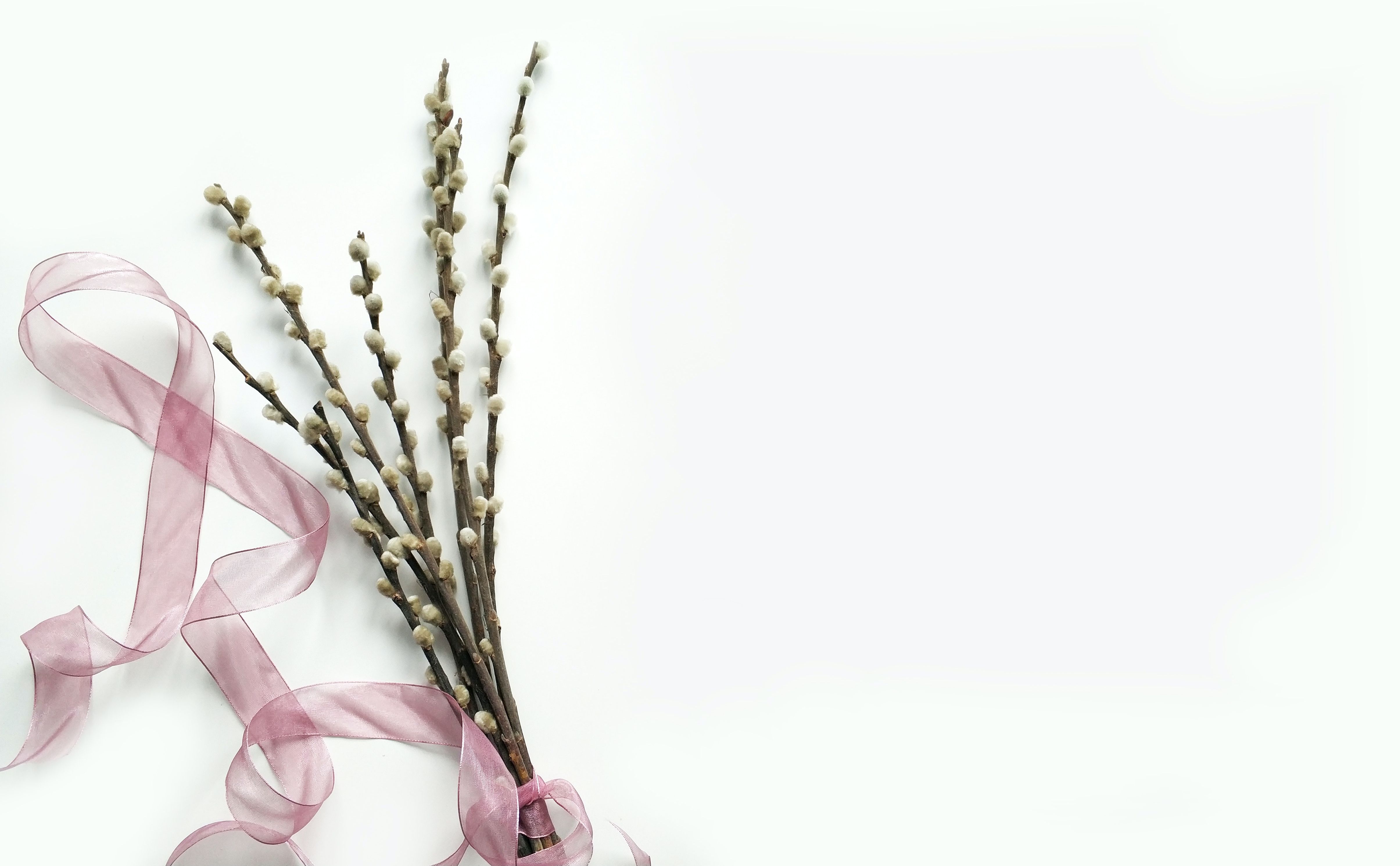 pdf在線轉(zhuǎn)換免費軟件哪里找?轉(zhuǎn)換的方法是怎樣的?
