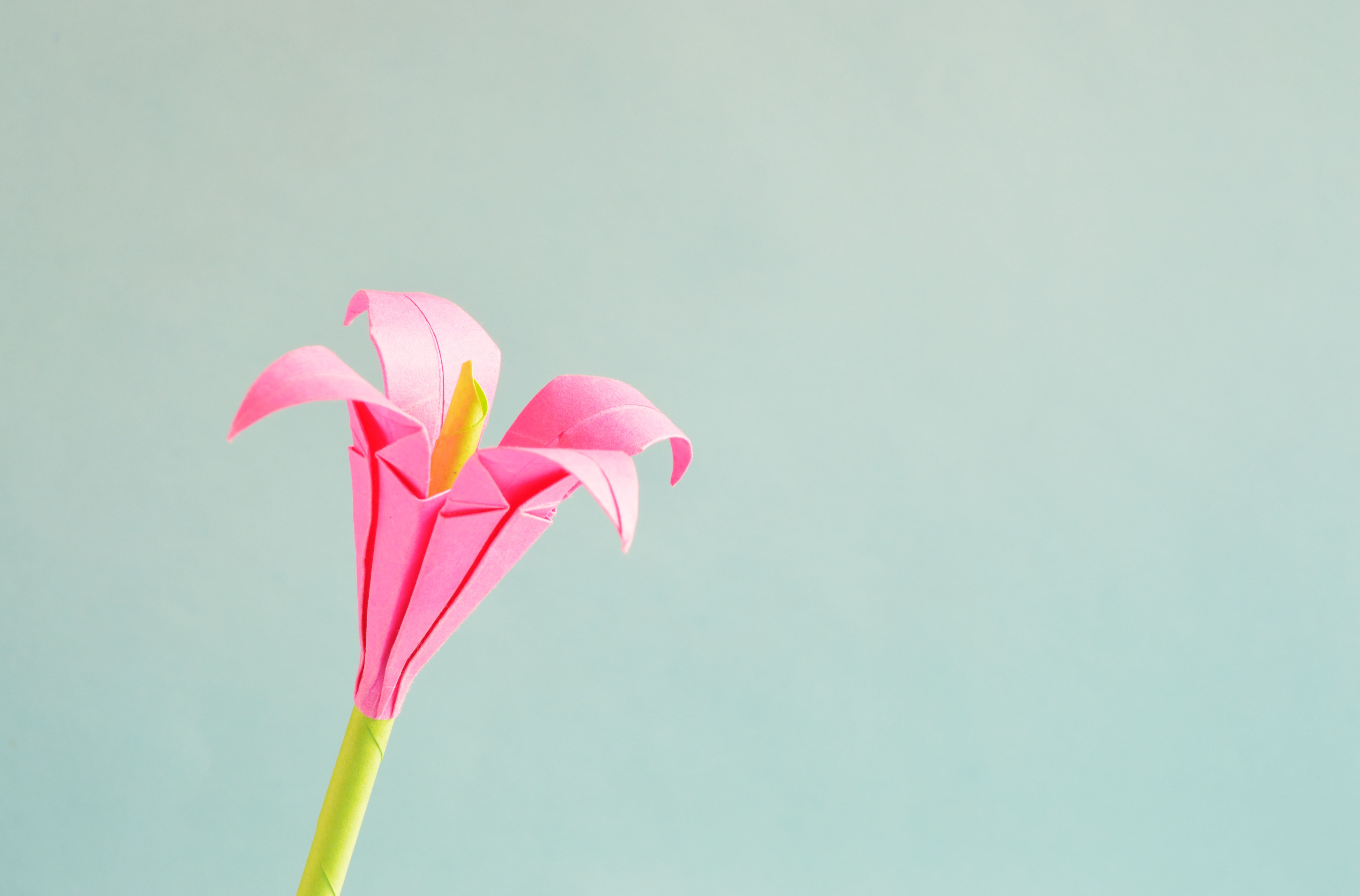 cad導(dǎo)出pdf的步驟是什么