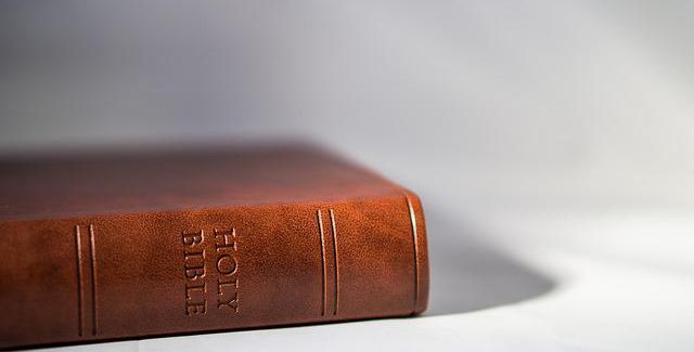 pdf免費編輯轉換工具