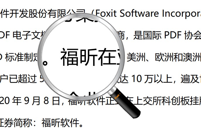 想要查看PDF文檔細(xì)節(jié)?這個(gè)放大鏡功能你肯定需要!