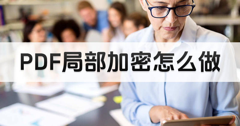 PDF文件格式如何進(jìn)行加密?怎樣加密PDF文檔?
